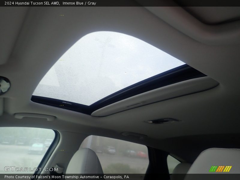 Intense Blue / Gray 2024 Hyundai Tucson SEL AWD