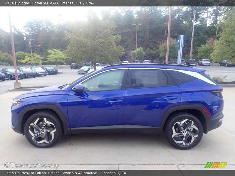 Intense Blue / Gray 2024 Hyundai Tucson SEL AWD