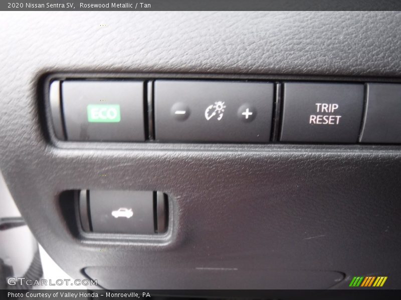 Rosewood Metallic / Tan 2020 Nissan Sentra SV