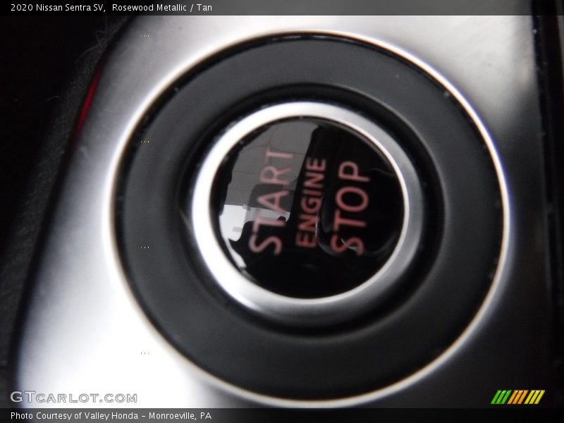 Rosewood Metallic / Tan 2020 Nissan Sentra SV