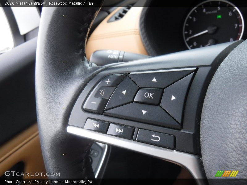  2020 Sentra SV Steering Wheel