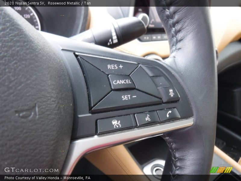  2020 Sentra SV Steering Wheel