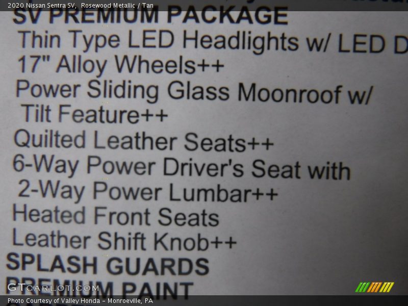Rosewood Metallic / Tan 2020 Nissan Sentra SV