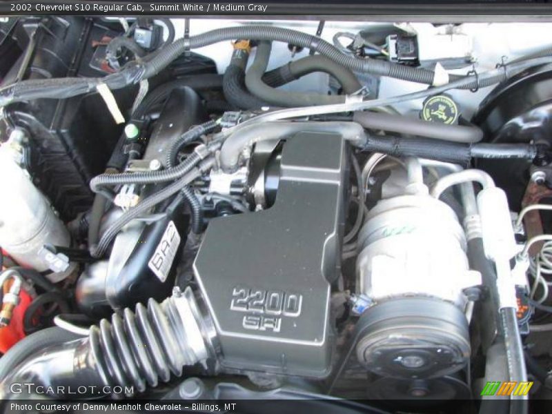 Summit White / Medium Gray 2002 Chevrolet S10 Regular Cab