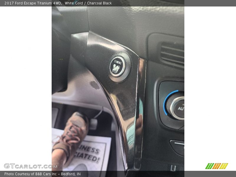 White Gold / Charcoal Black 2017 Ford Escape Titanium 4WD