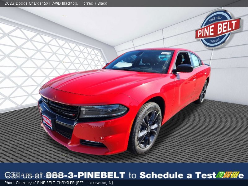 Torred / Black 2023 Dodge Charger SXT AWD Blacktop