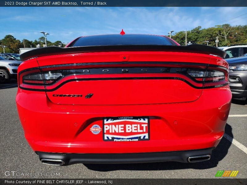 Torred / Black 2023 Dodge Charger SXT AWD Blacktop