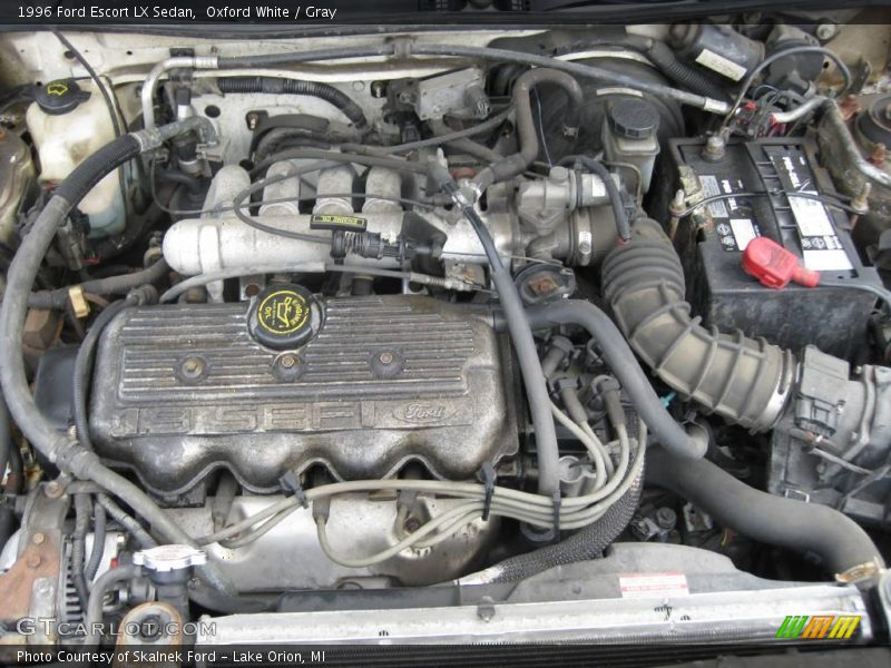 Oxford White / Gray 1996 Ford Escort LX Sedan
