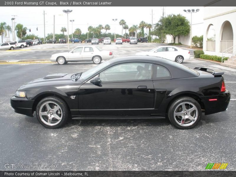 Black / Black Charcoal Leather 2003 Ford Mustang GT Coupe