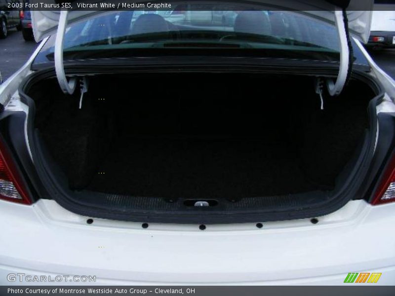 Vibrant White / Medium Graphite 2003 Ford Taurus SES