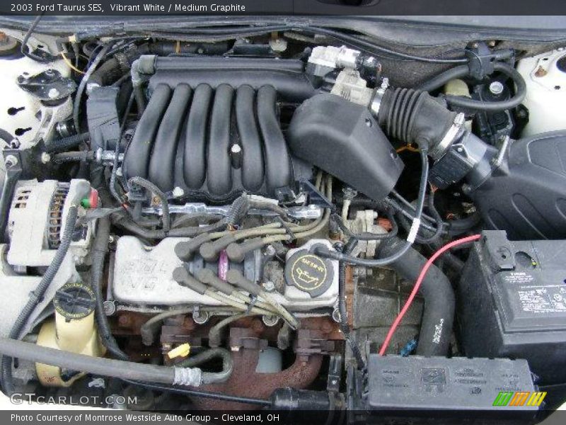 Vibrant White / Medium Graphite 2003 Ford Taurus SES