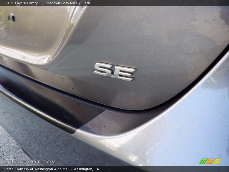 Predawn Gray Mica / Black 2019 Toyota Camry SE