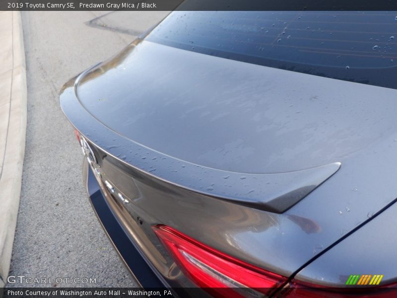 Predawn Gray Mica / Black 2019 Toyota Camry SE