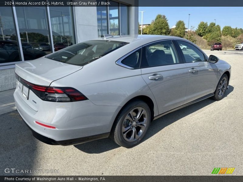  2024 Accord EX-L Hybrid Urban Gray Pearl