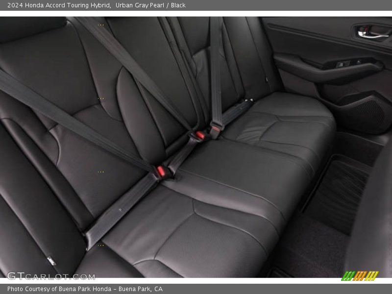Rear Seat of 2024 Accord Touring Hybrid