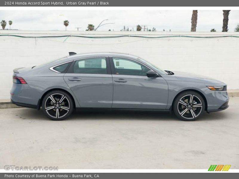  2024 Accord Sport Hybrid Urban Gray Pearl