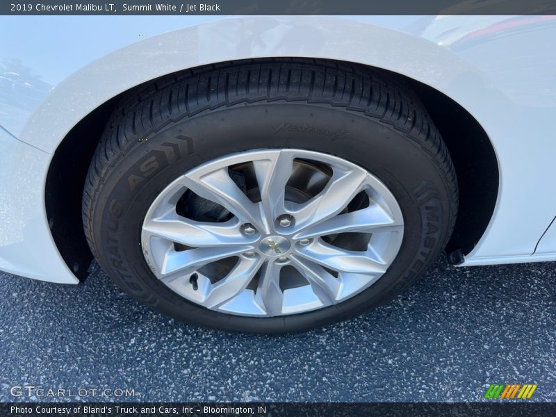 Summit White / Jet Black 2019 Chevrolet Malibu LT