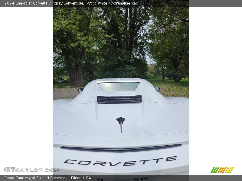 Arctic White / Adrenaline Red 2024 Chevrolet Corvette Stingray Convertible