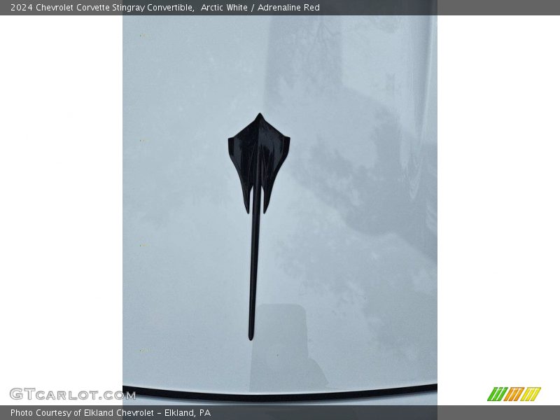  2024 Corvette Stingray Convertible Logo