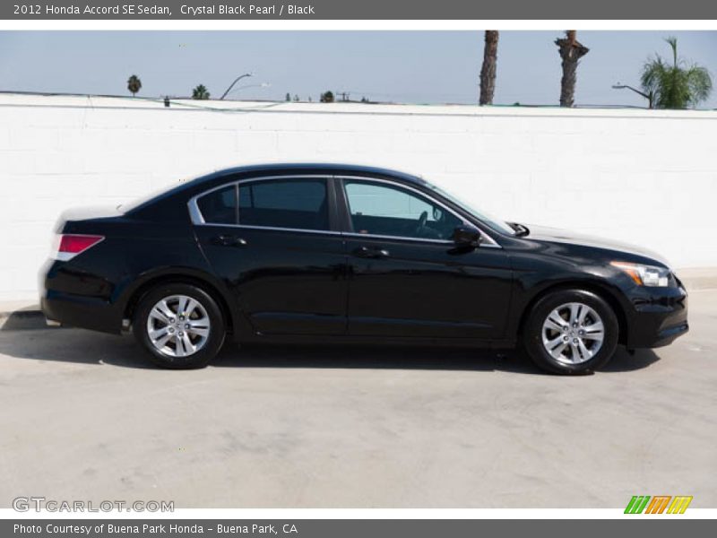 Crystal Black Pearl / Black 2012 Honda Accord SE Sedan