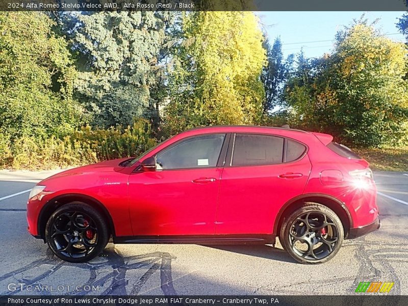 Alfa Rosso (Red) / Black 2024 Alfa Romeo Stelvio Veloce AWD