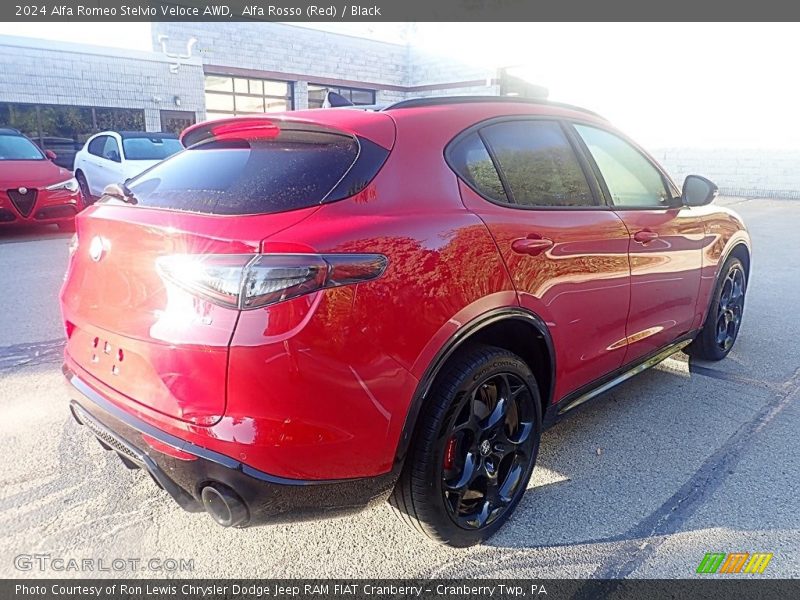 Alfa Rosso (Red) / Black 2024 Alfa Romeo Stelvio Veloce AWD