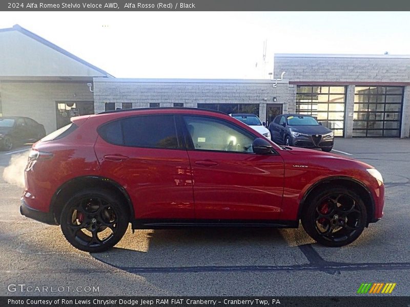 Alfa Rosso (Red) / Black 2024 Alfa Romeo Stelvio Veloce AWD