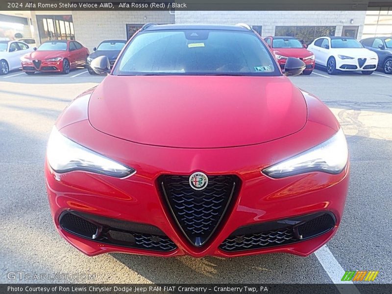 Alfa Rosso (Red) / Black 2024 Alfa Romeo Stelvio Veloce AWD