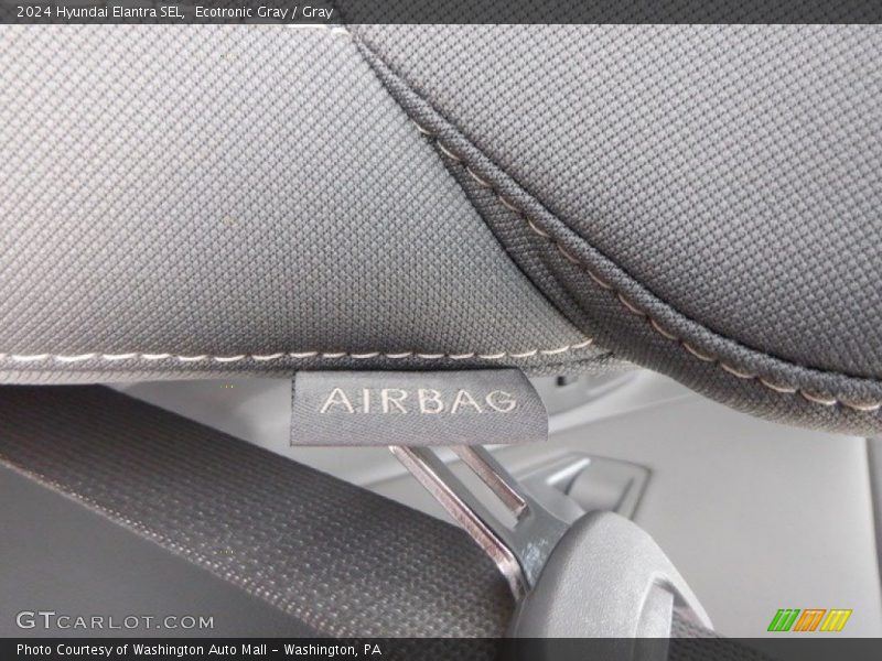Ecotronic Gray / Gray 2024 Hyundai Elantra SEL