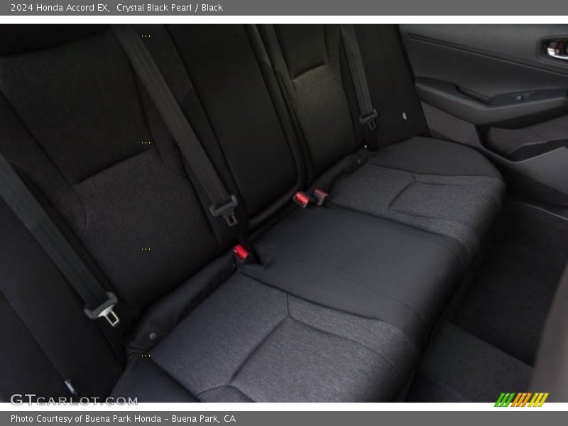 Rear Seat of 2024 Accord EX
