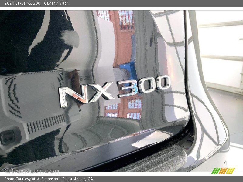  2020 NX 300 Logo