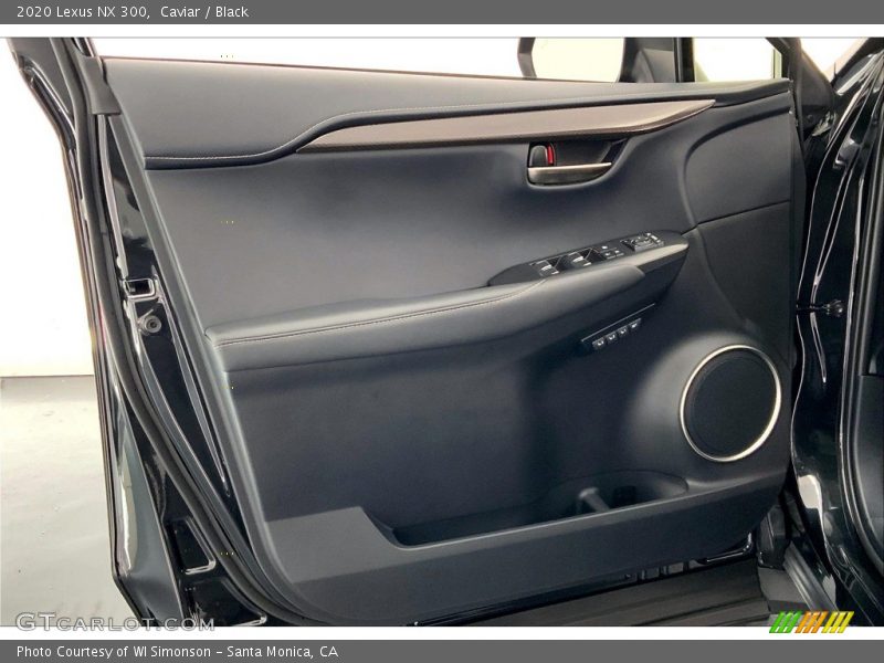 Door Panel of 2020 NX 300