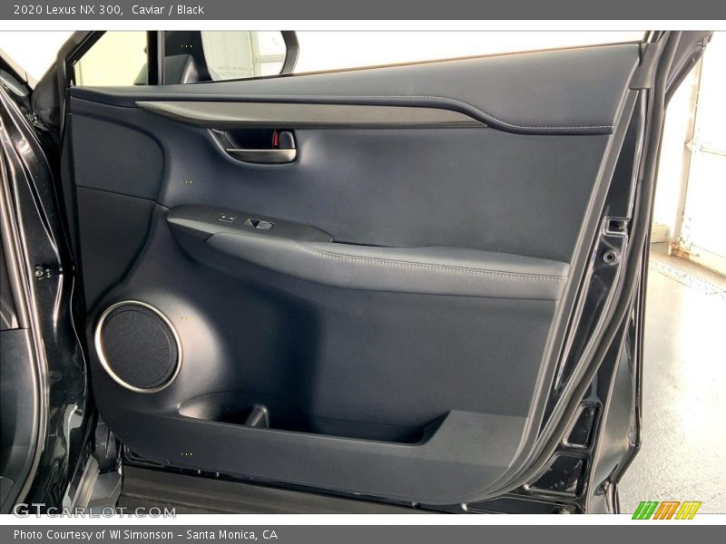 Door Panel of 2020 NX 300