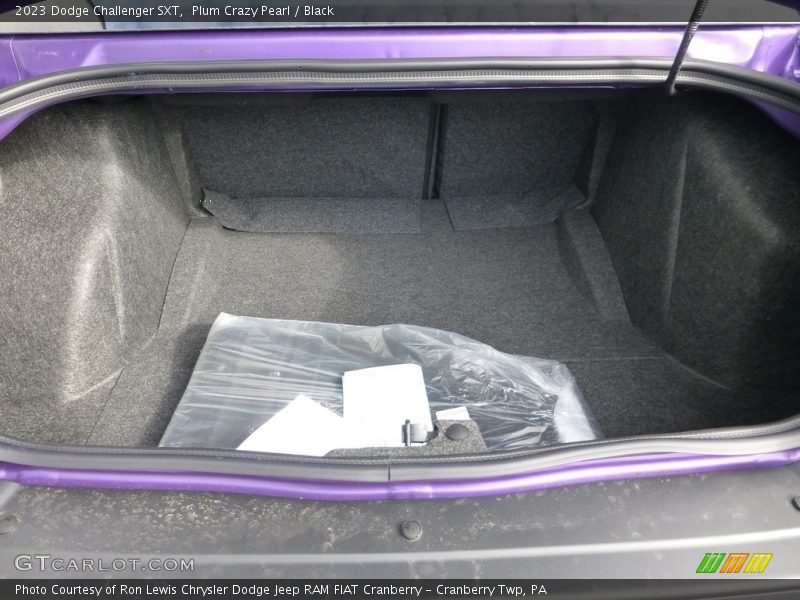  2023 Challenger SXT Trunk