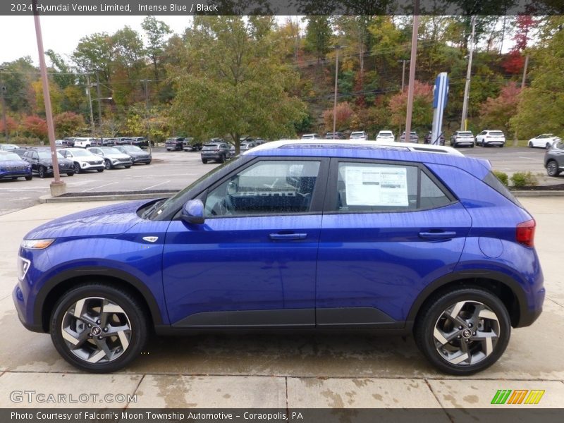  2024 Venue Limited Intense Blue