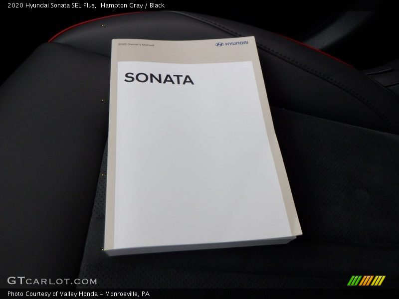 Hampton Gray / Black 2020 Hyundai Sonata SEL Plus