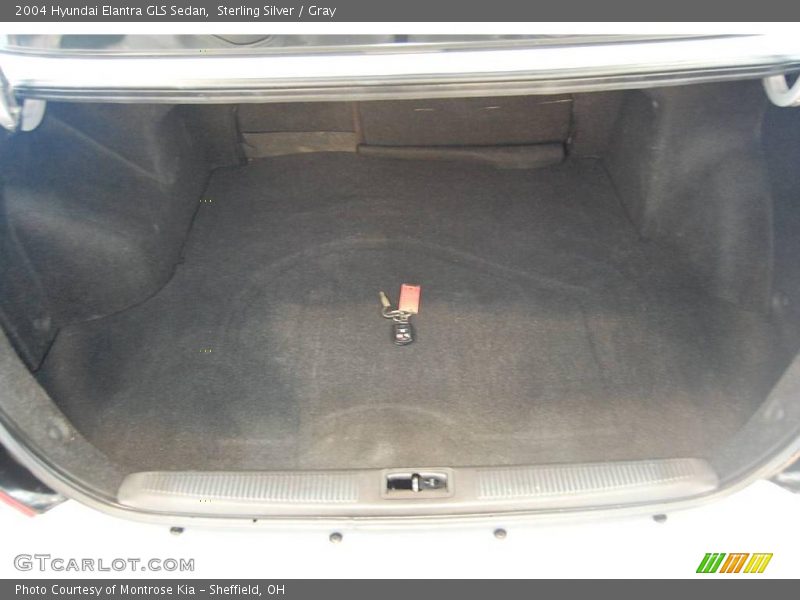 Sterling Silver / Gray 2004 Hyundai Elantra GLS Sedan