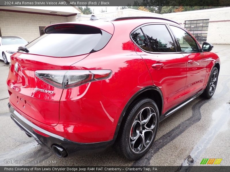  2024 Stelvio Veloce AWD Alfa Rosso (Red)