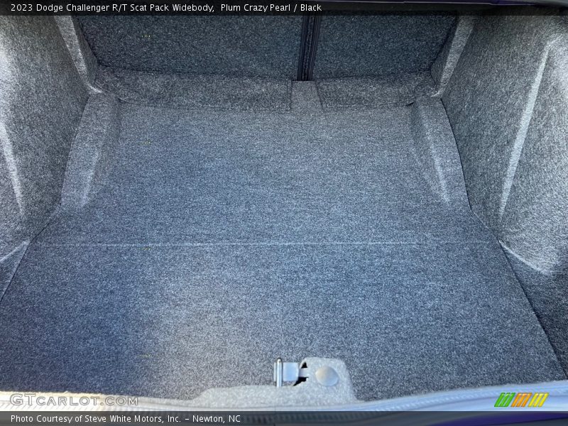  2023 Challenger R/T Scat Pack Widebody Trunk
