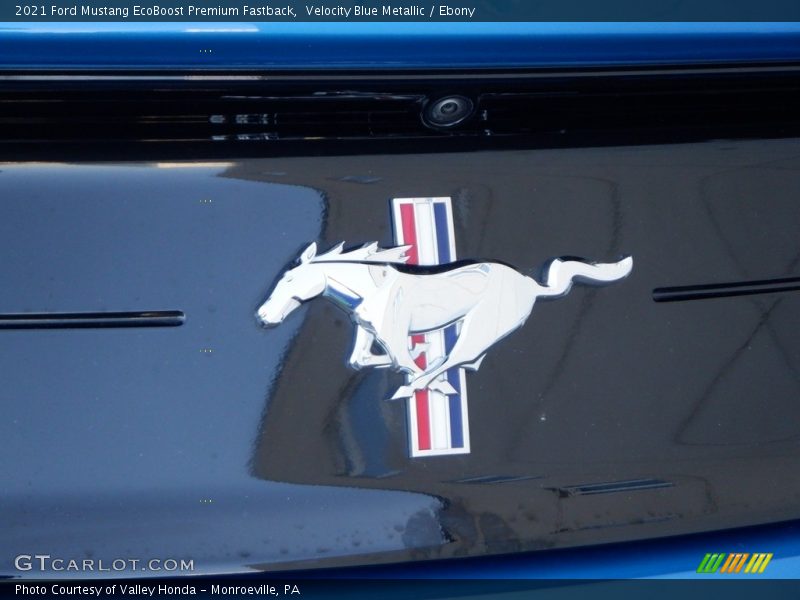 Velocity Blue Metallic / Ebony 2021 Ford Mustang EcoBoost Premium Fastback