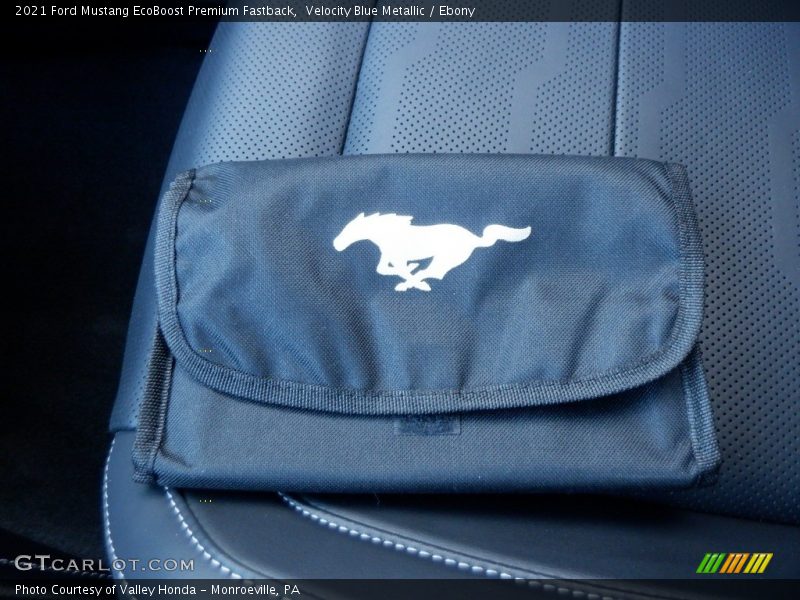 Velocity Blue Metallic / Ebony 2021 Ford Mustang EcoBoost Premium Fastback