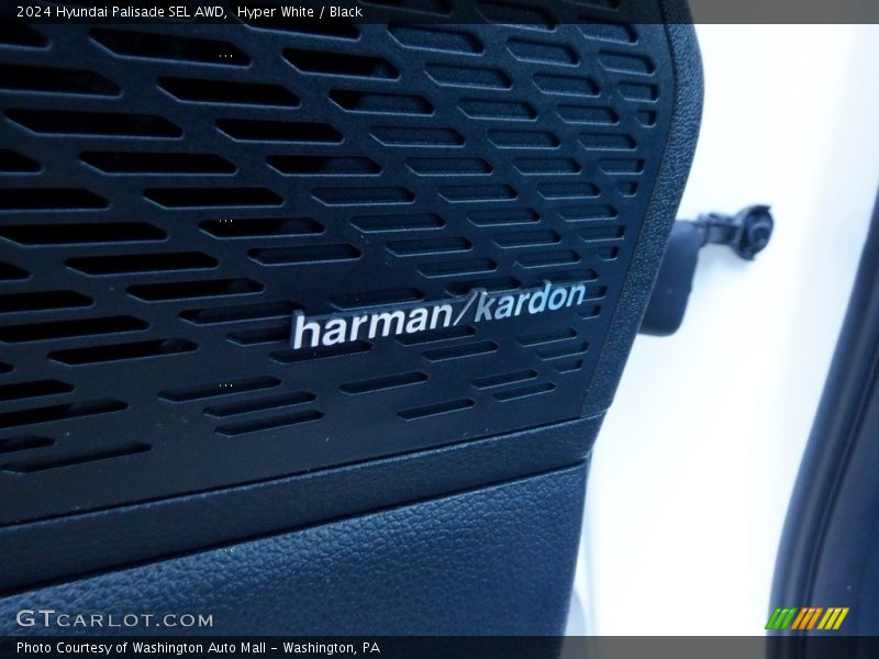 Audio System of 2024 Palisade SEL AWD