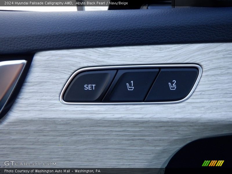 Door Panel of 2024 Palisade Calligraphy AWD