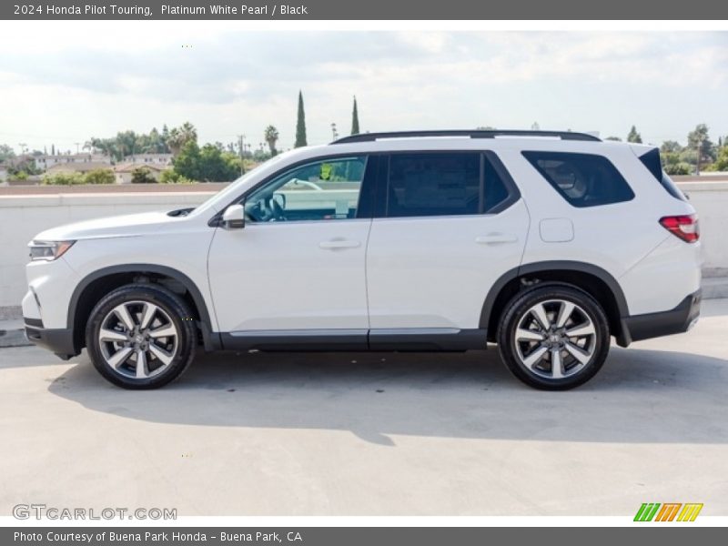  2024 Pilot Touring Platinum White Pearl