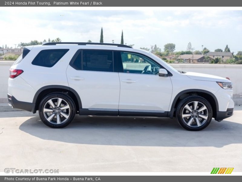  2024 Pilot Touring Platinum White Pearl