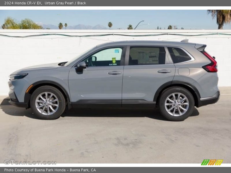  2024 CR-V EX Urban Gray Pearl