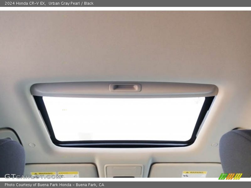 Urban Gray Pearl / Black 2024 Honda CR-V EX