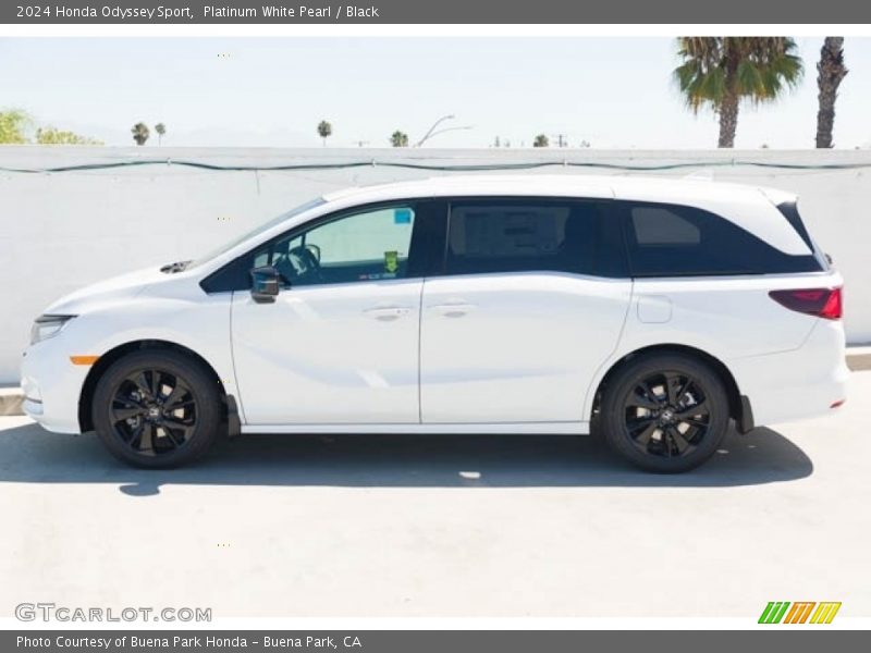  2024 Odyssey Sport Platinum White Pearl
