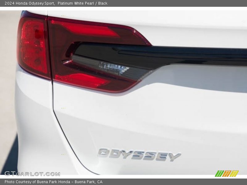  2024 Odyssey Sport Logo