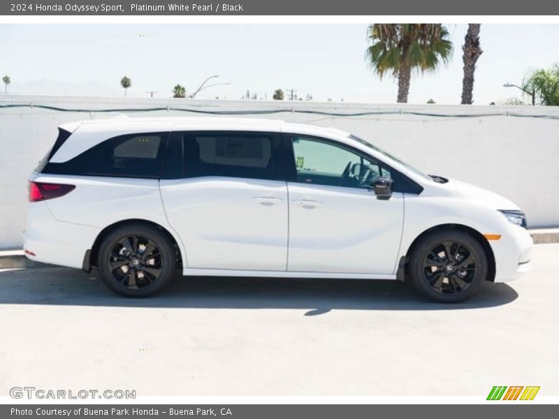  2024 Odyssey Sport Platinum White Pearl